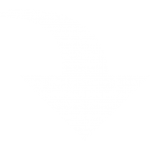 down arrow